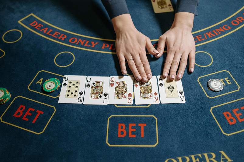 Icebet casino